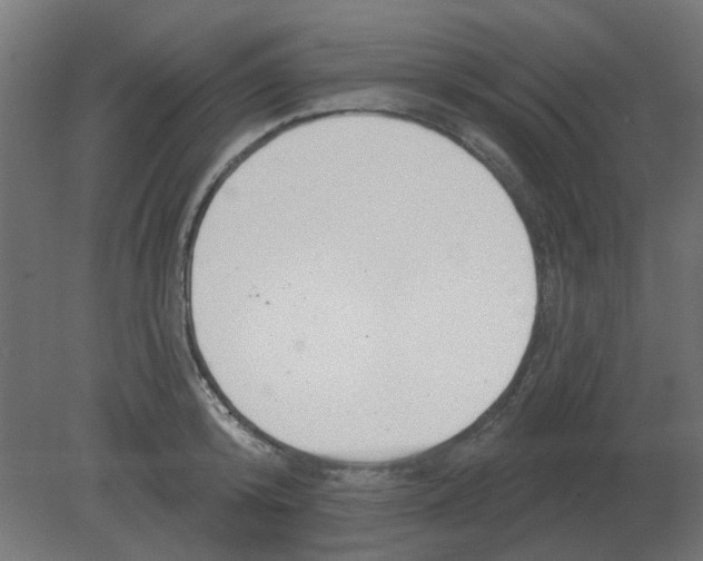 X0000080790800200701122146