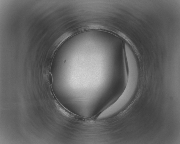 X0000080790801200701122146