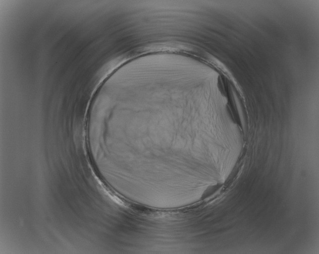 X0000080790802200701122146