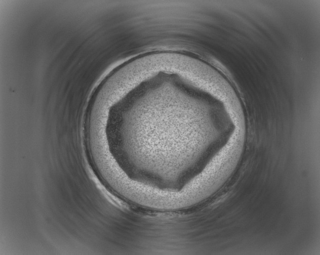 X0000080790803200701122146