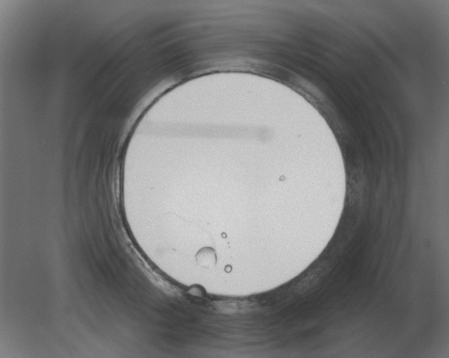 X0000080790804200701122146