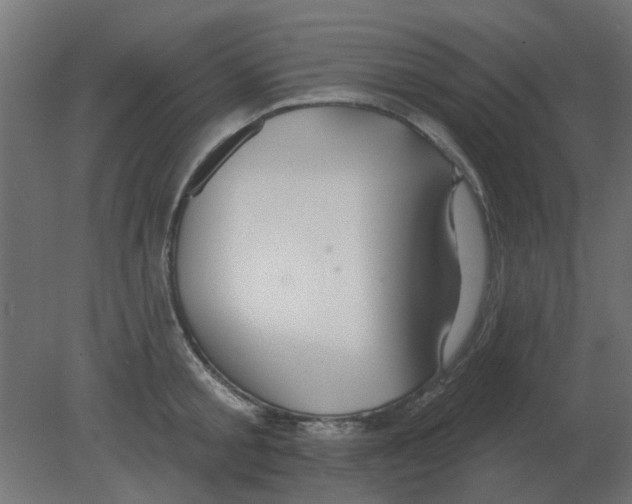 X0000080790805200701122146