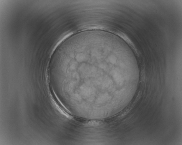 X0000080790806200701122146