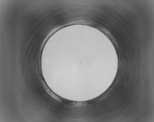 X0000080790808200701122146