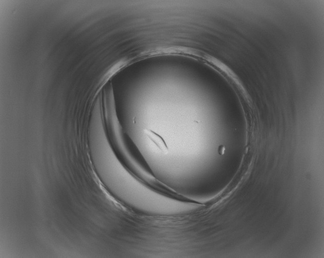 X0000080790809200701122146