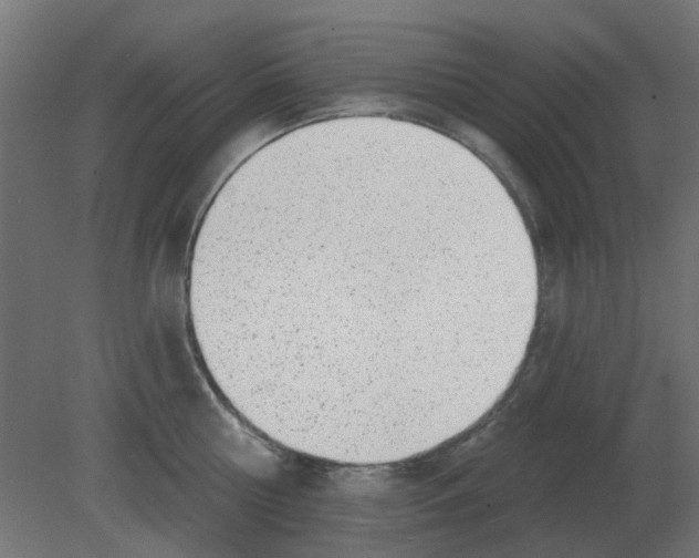 X0000080790810200701122146