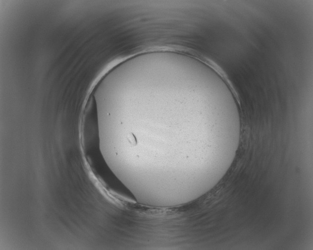 X0000080790811200701122146