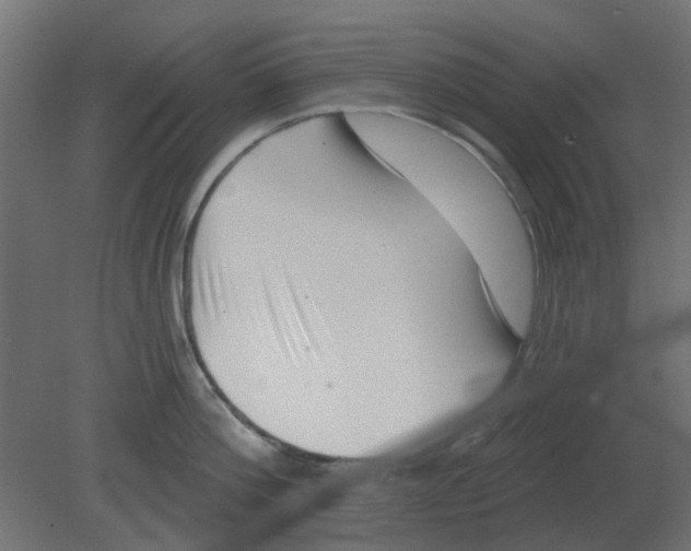 X0000080790812200701122146