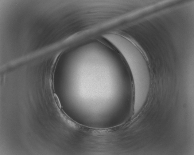 X0000080790813200701122146