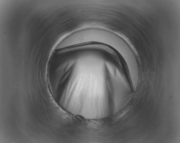 X0000080790815200701122146