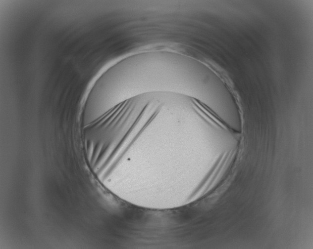 X0000080790816200701122146