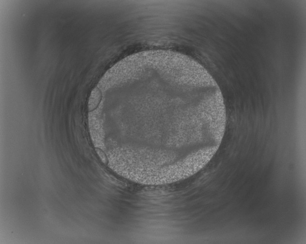 X0000080790817200701122145