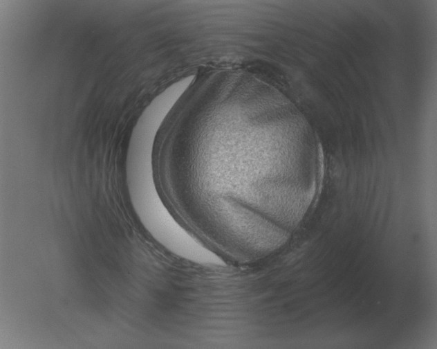 X0000080790818200701122145