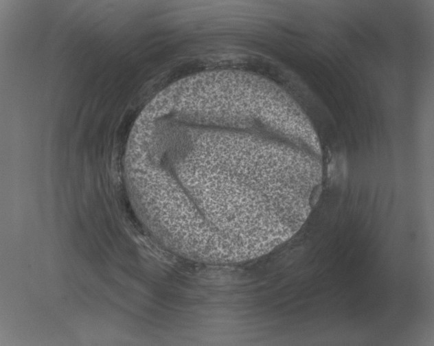 X0000080790819200701122145