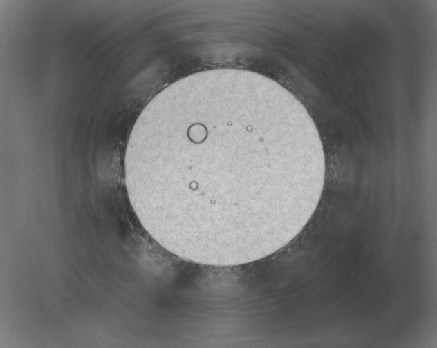 X0000080790820200701122145