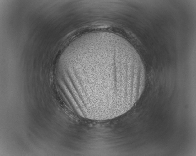 X0000080790821200701122145