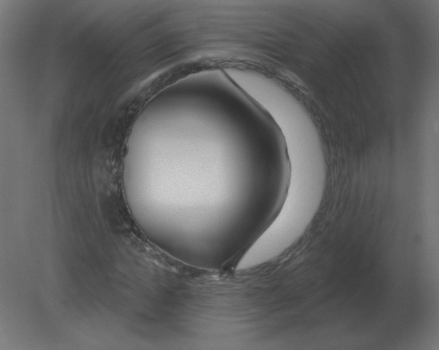 X0000080790822200701122145