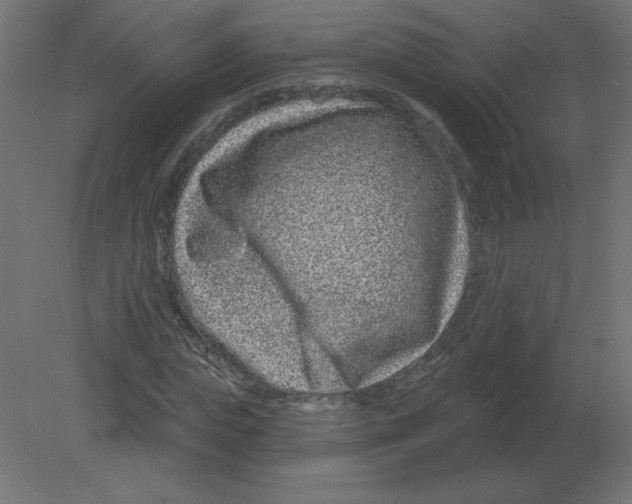 X0000080790823200701122145