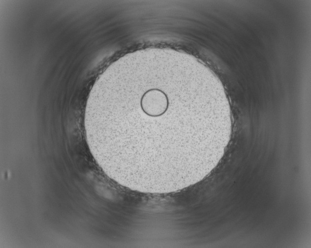 X0000080790824200701122145