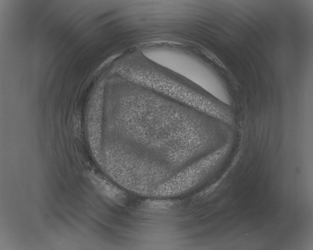 X0000080790825200701122145