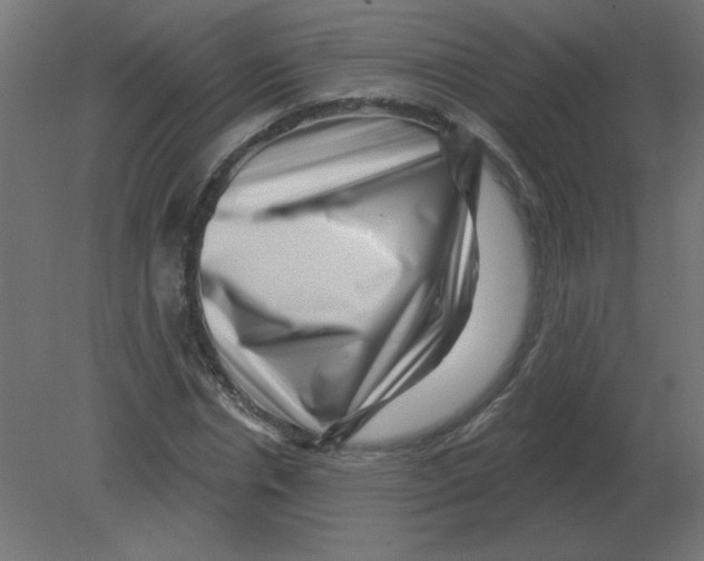 X0000080790826200701122145