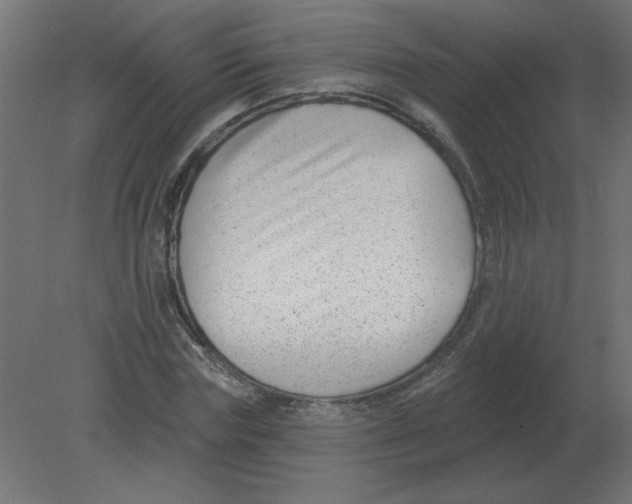 X0000080790827200701122145