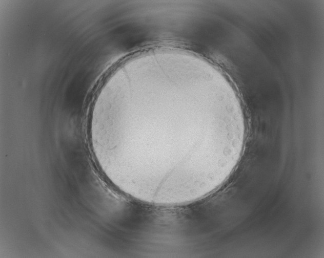 X0000080790828200701122145