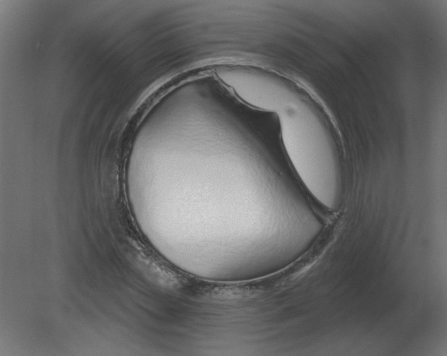 X0000080790829200701122145