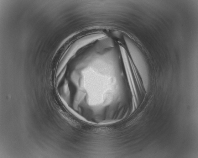 X0000080790830200701122145