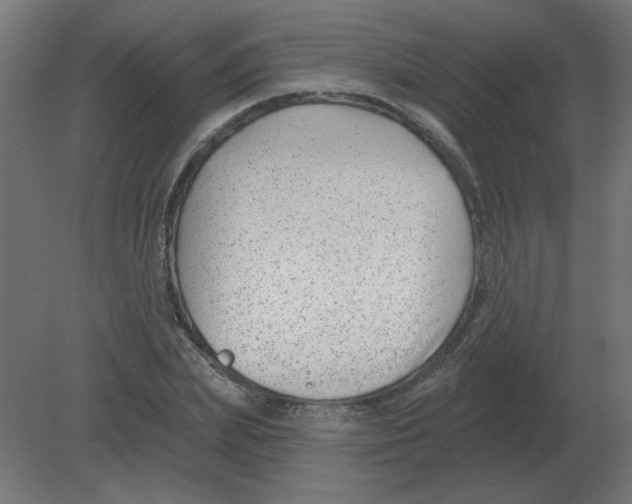 X0000080790831200701122145