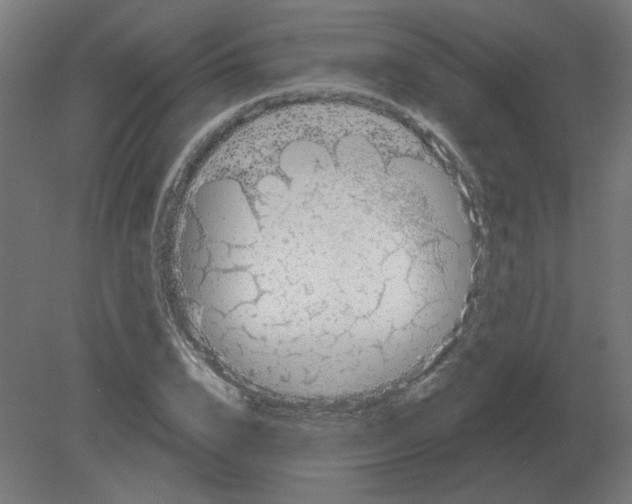 X0000080790832200701122145