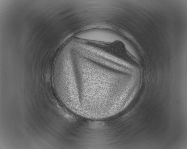 X0000080790833200701122145