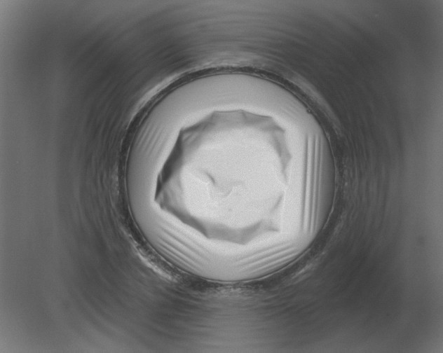 X0000080790834200701122145