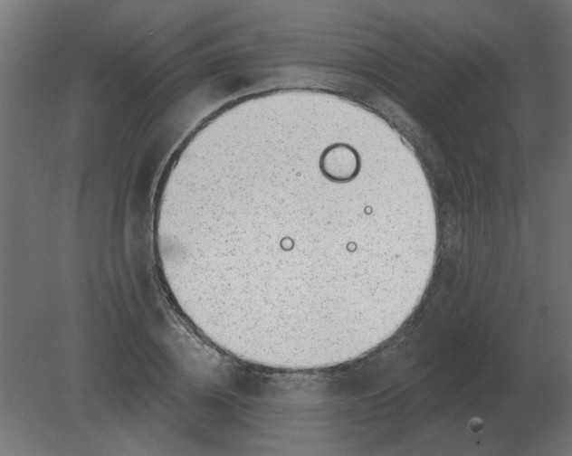 X0000080790836200701122145