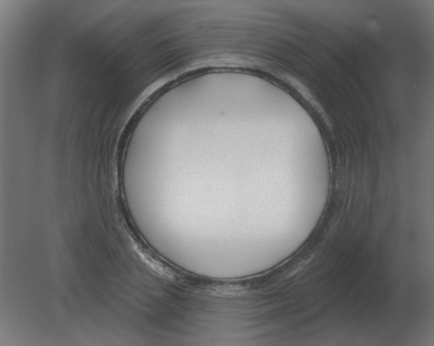 X0000080790837200701122145