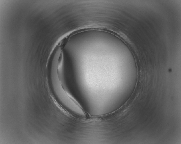 X0000080790838200701122145