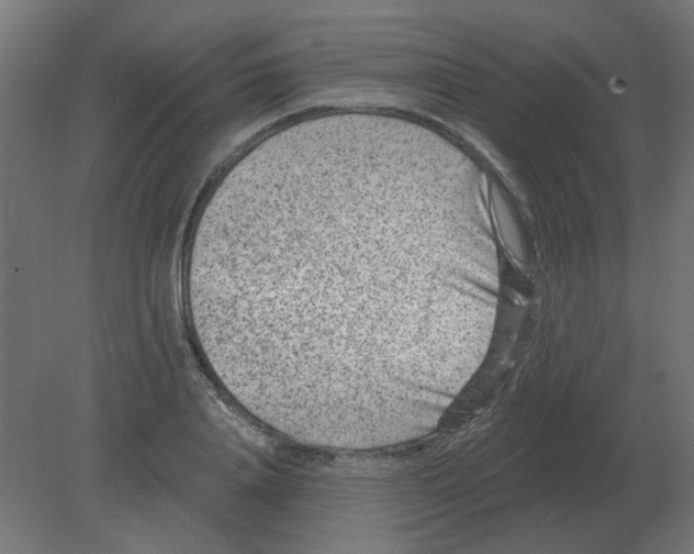 X0000080790840200701122145