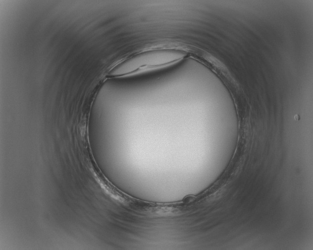 X0000080790841200701122145