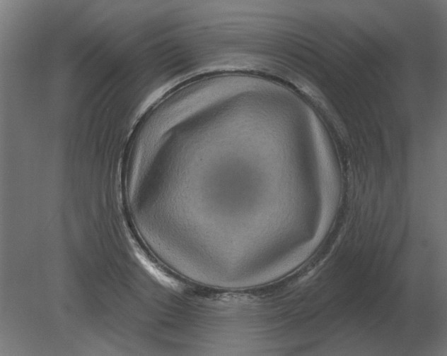 X0000080790842200701122146