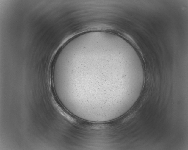 X0000080790843200701122146