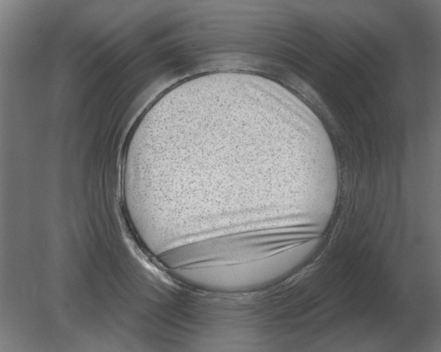 X0000080790844200701122146