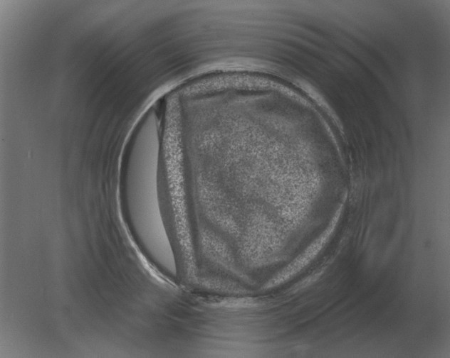 X0000080790845200701122146