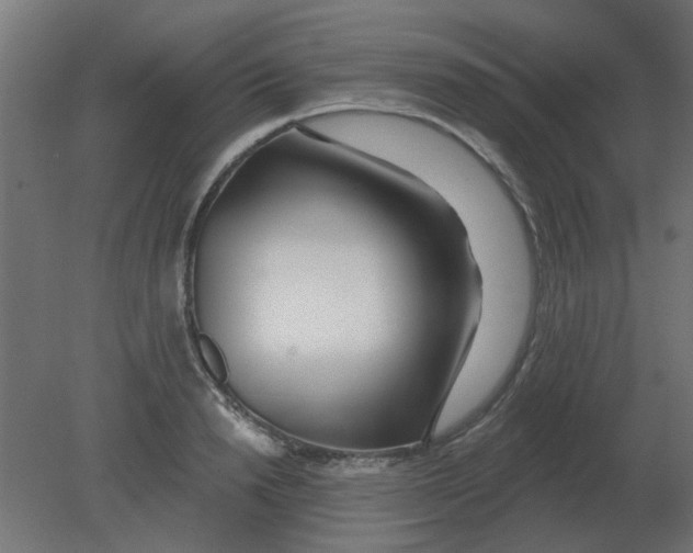 X0000080790846200701122146