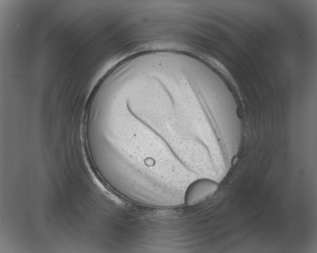 X0000080790847200701122146