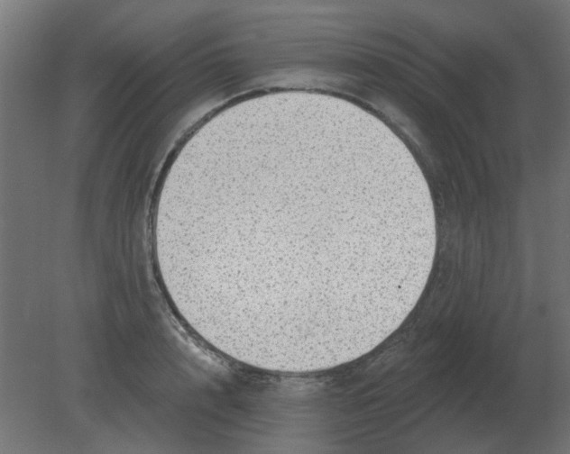 X0000080790848200701122146