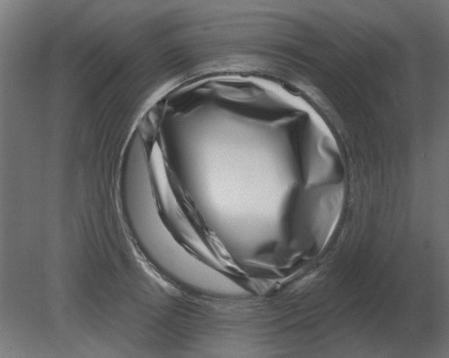 X0000080790850200701122146