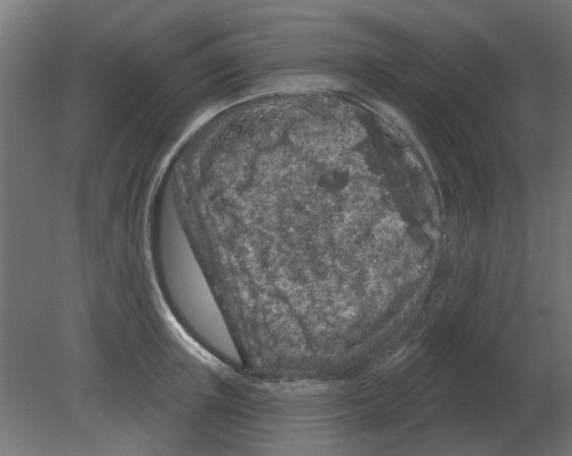 X0000080790851200701122146