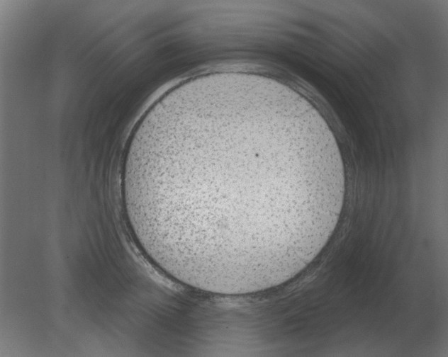 X0000080790852200701122146