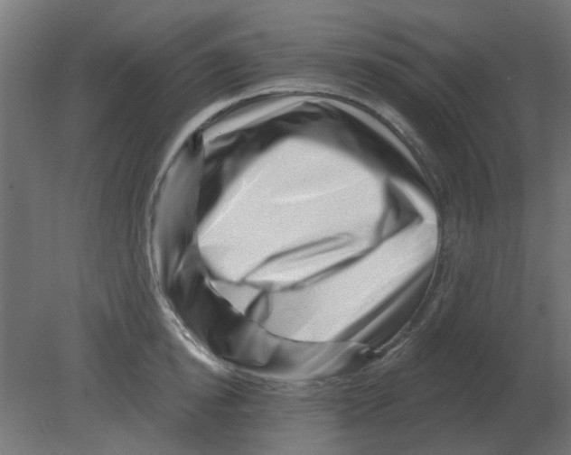 X0000080790854200701122146