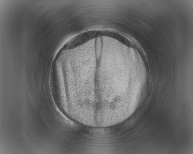 X0000080790855200701122146